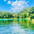 The Benefits of Green Cleaning: A Comprehensive Look at Eco-Friendly Options