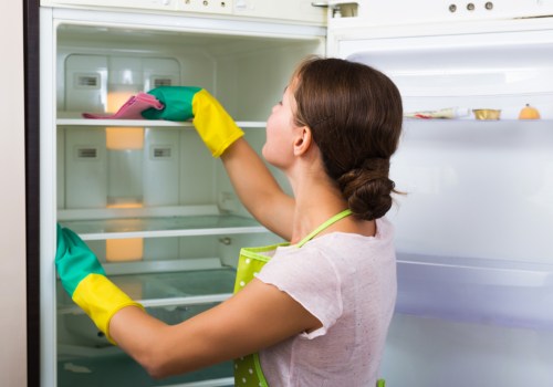 Professional and Reliable Oven and Fridge Cleaning Services