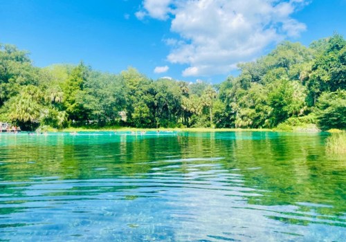 The Benefits of Green Cleaning: A Comprehensive Look at Eco-Friendly Options