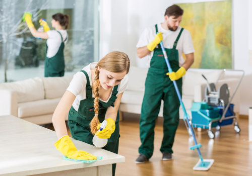 Examples of Positive Reviews for House Cleaning Services
