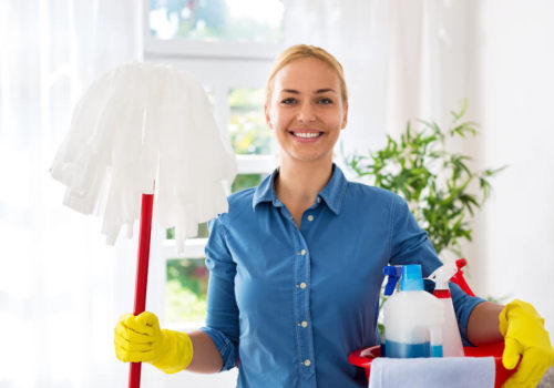 Cleaning Inside Appliances: Professional and Eco-Friendly Options for a Sparkling Home